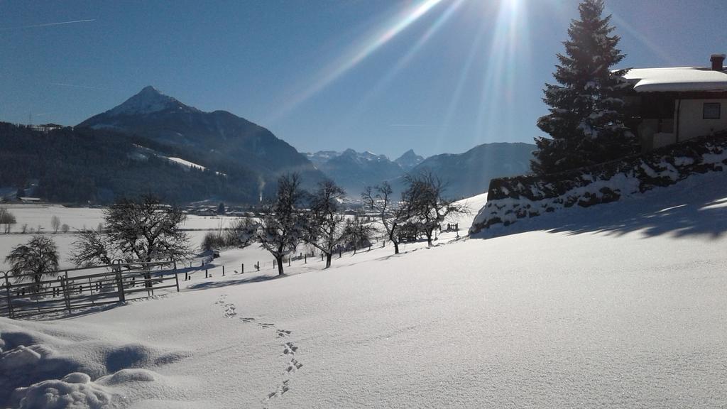 Oberfischergut Flachau Kültér fotó