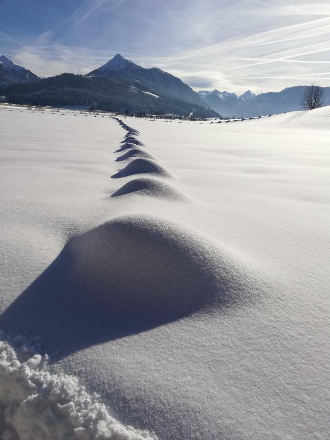 Oberfischergut Flachau Kültér fotó